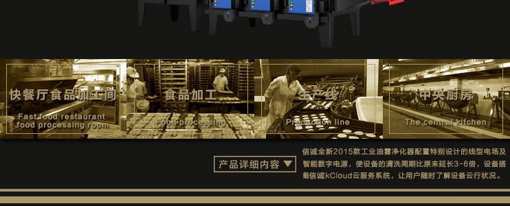 信诚环保工业静电式烟雾净化设备(处理食品加工废气系列）,ESP,油烟净化器,油雾净化设备