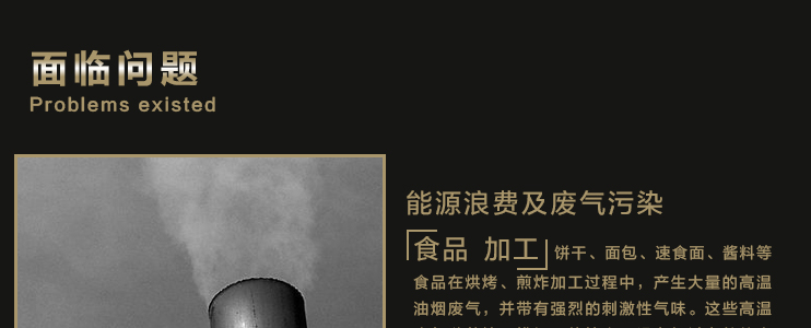 信诚环保工业静电式烟雾净化设备(处理食品加工废气系列）,ESP,油烟净化器,油雾净化设备